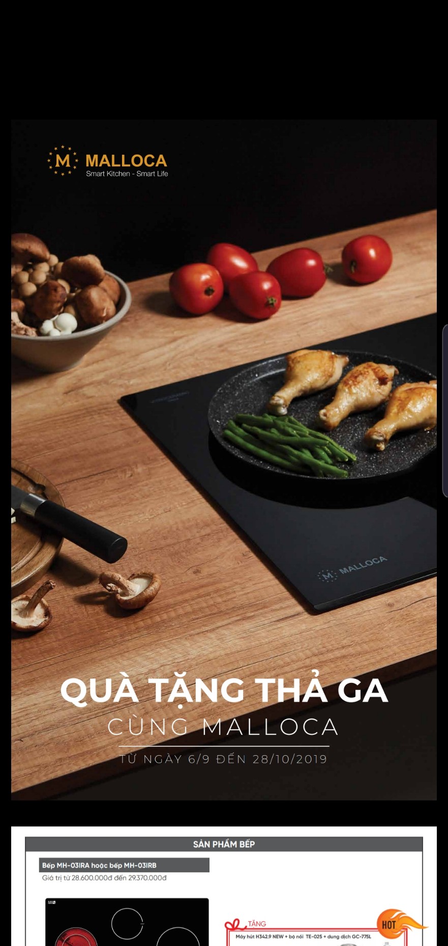 Quà Tặng Thả Ga Cùng Malloca